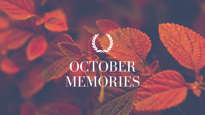 Happy November | October Memories